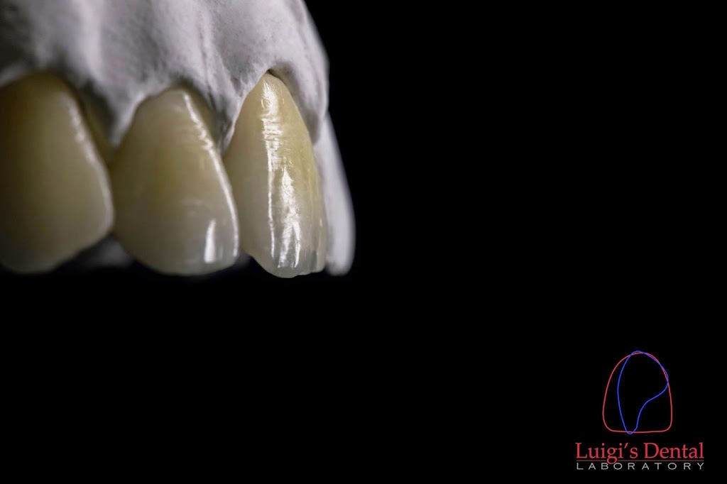 Luigis Dental Lab | 1430 W Busch Blvd, Tampa, FL 33612, USA | Phone: (813) 936-7894