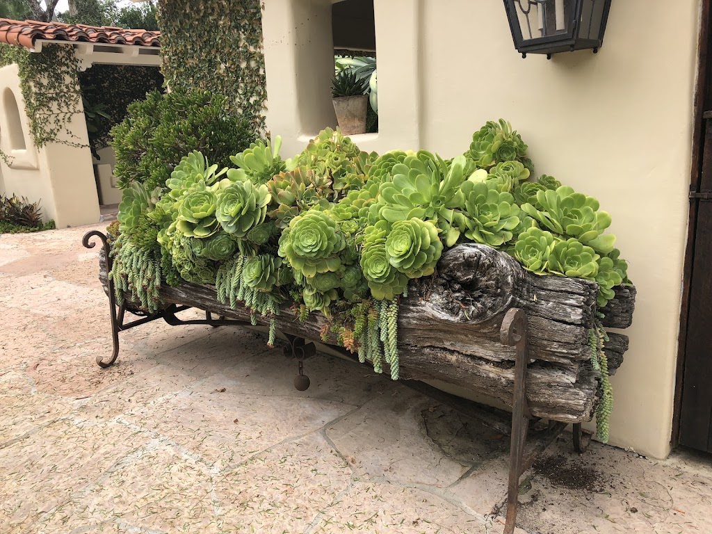 Heaviland Landscape Management | 2180 La Mirada Dr, Vista, CA 92081, USA | Phone: (760) 598-7065