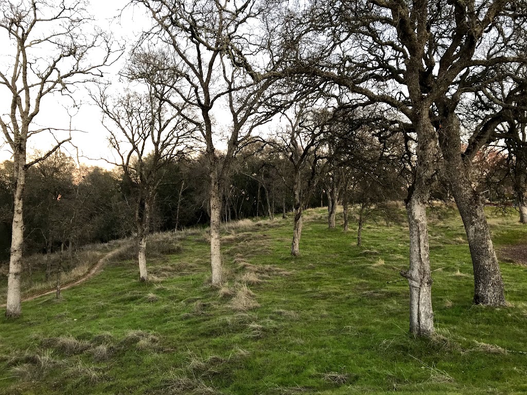 Lake Forest Park | 1821 Francisco Dr, El Dorado Hills, CA 95762, USA | Phone: (916) 933-6624