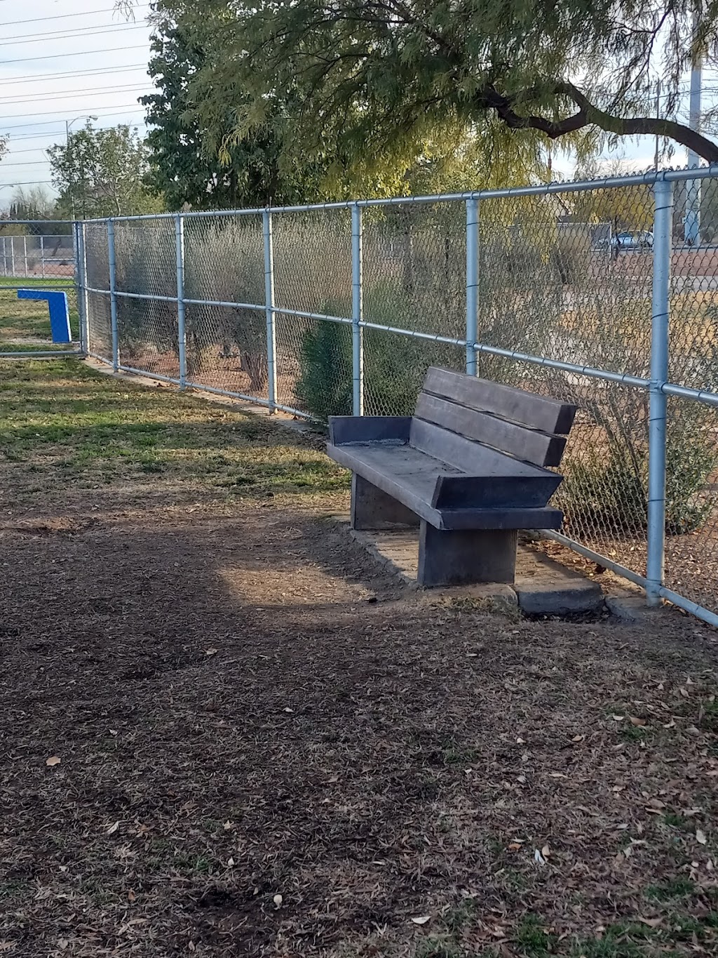 Clark County Dog Park at Spring Valley Community Park | 7600 W Flamingo Rd, Las Vegas, NV 89147, USA | Phone: (702) 455-8200