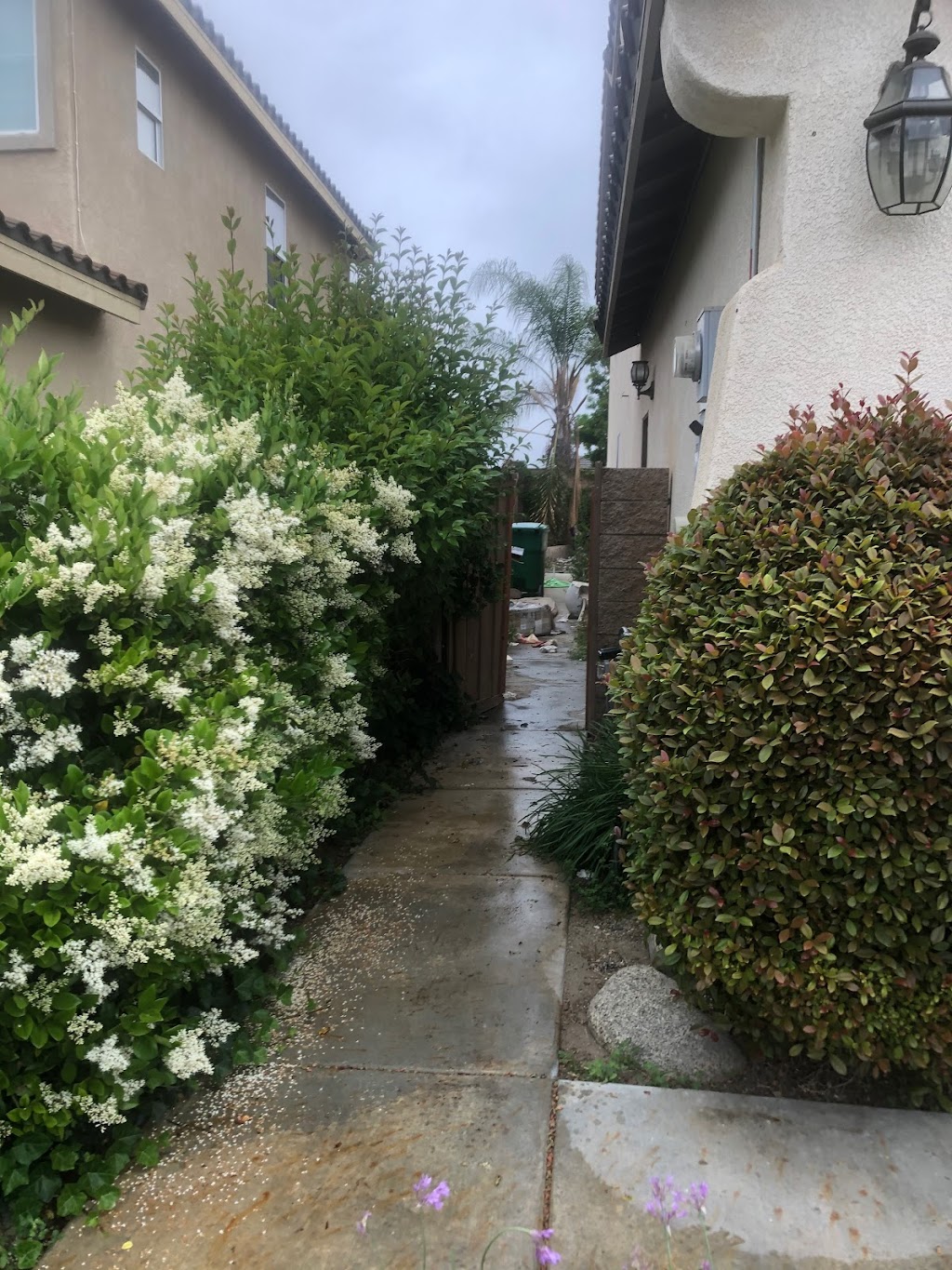 Felix landscaping & trees service maintenance | 870 Reeves Pl, Pomona, CA 91767, USA | Phone: (714) 866-1782