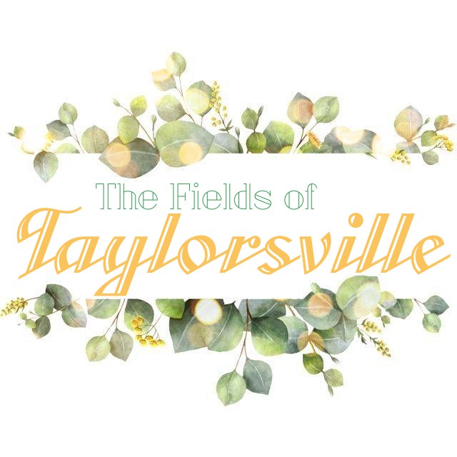The Fields of Taylorsville | 15359 Taylorsville Rd, Doswell, VA 23047 | Phone: (804) 464-5646