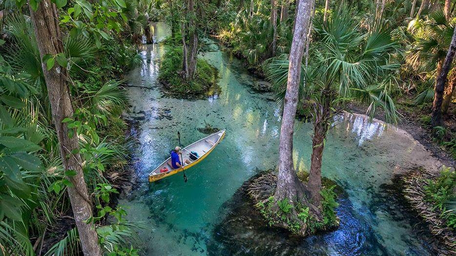 Coconut Kayak Tours | 715 Gulf Blvd, Indian Rocks Beach, FL 33785, USA | Phone: (727) 238-1960