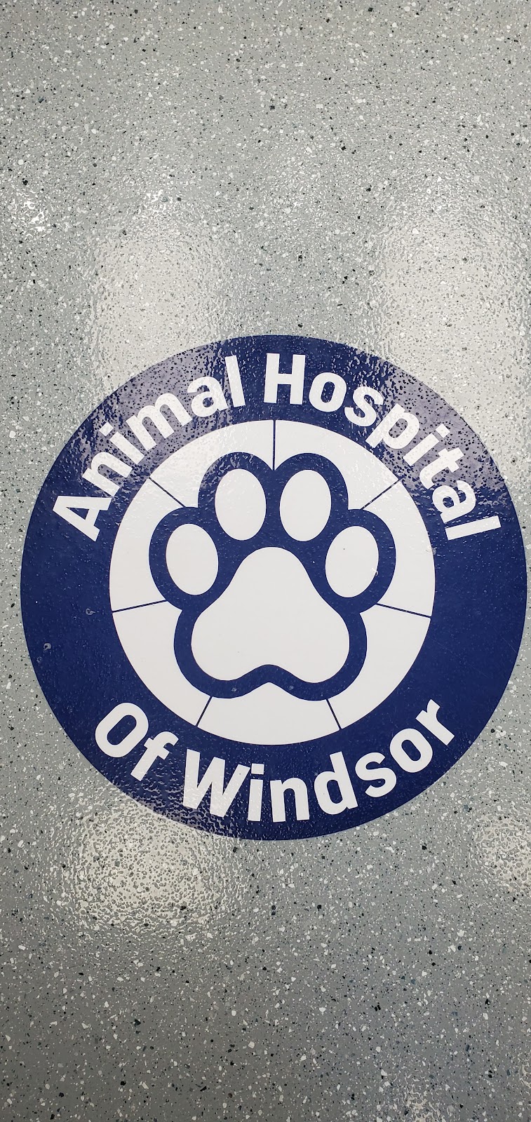 Animal Hospital of Windsor | 220 Tecumseh Rd W, Windsor, ON N8X 1G1, Canada | Phone: (519) 252-4327