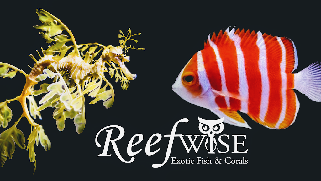 Reefwise | 5401 Patton Dr #105, Lisle, IL 60532, USA | Phone: (630) 541-5486