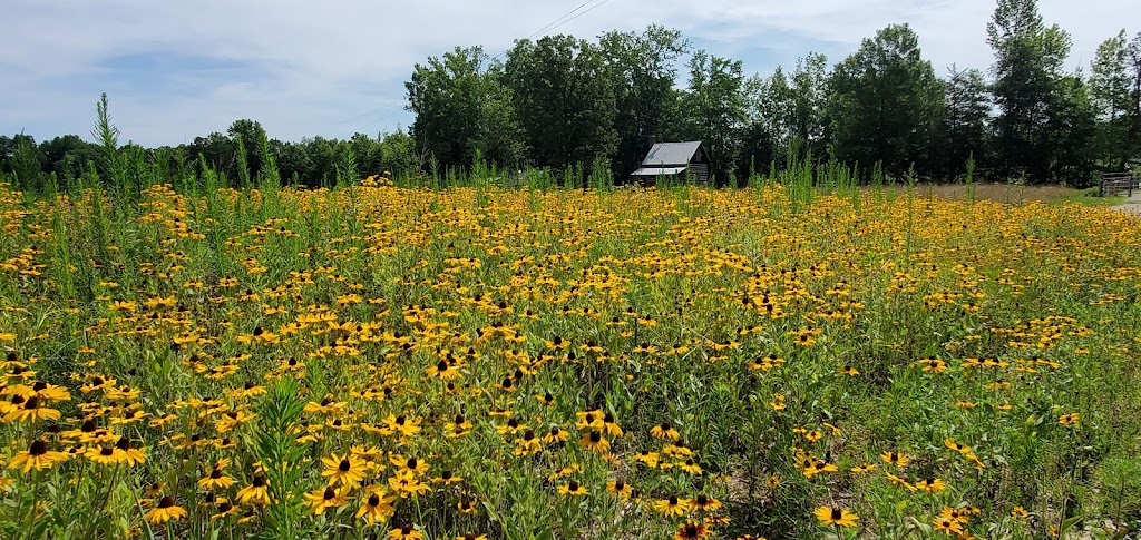 Bluestem | 1900 Hurdle Mills Rd, Cedar Grove, NC 27231, USA | Phone: (919) 621-4661