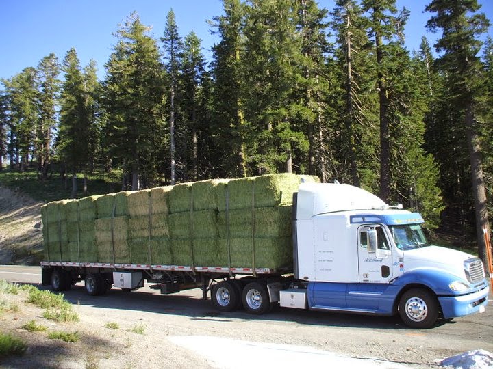 A L Powell Trucking | 23534 Arthur Rd, Escalon, CA 95320, USA | Phone: (209) 838-7470