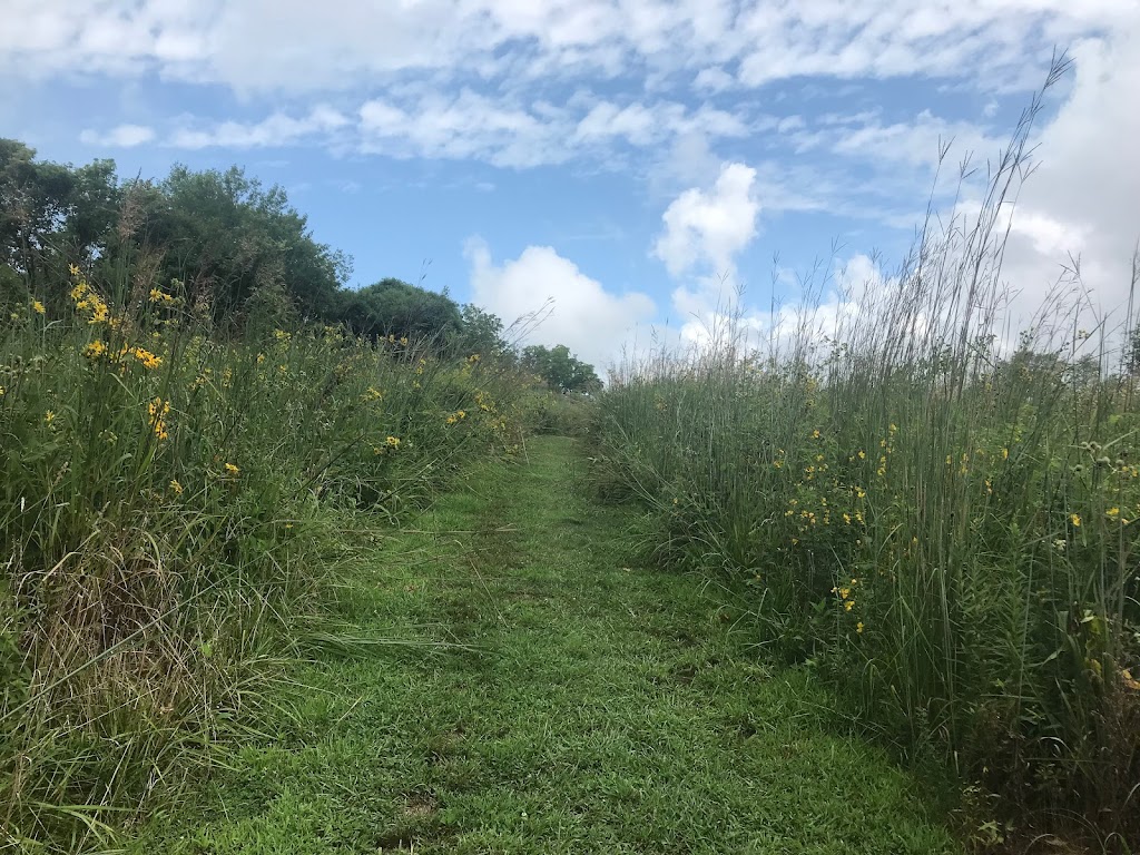 John M Olin Nature Preserve (Nature Institute) | 2213 S Levis Ln, Godfrey, IL 62035 | Phone: (618) 466-9930