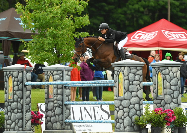 Homeward Farms | 5807 Pepperport Ln, Lewisville, TX 75022, USA | Phone: (817) 875-3520