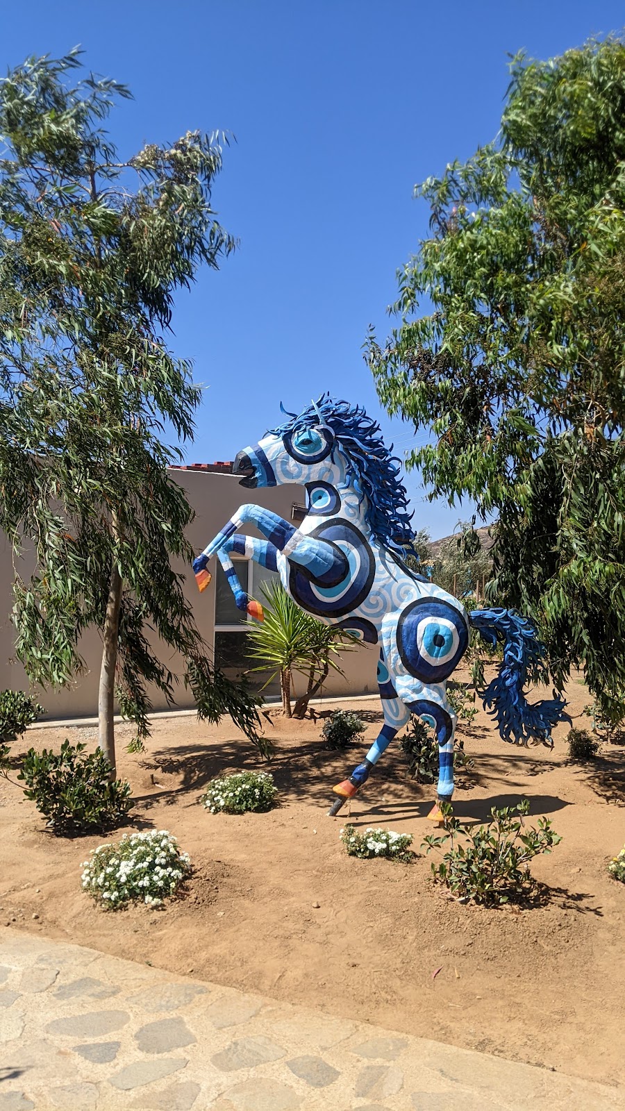 OJO AZUL, WINERY | 22984 Ensenada, Baja California, Mexico | Phone: 664 720 2940