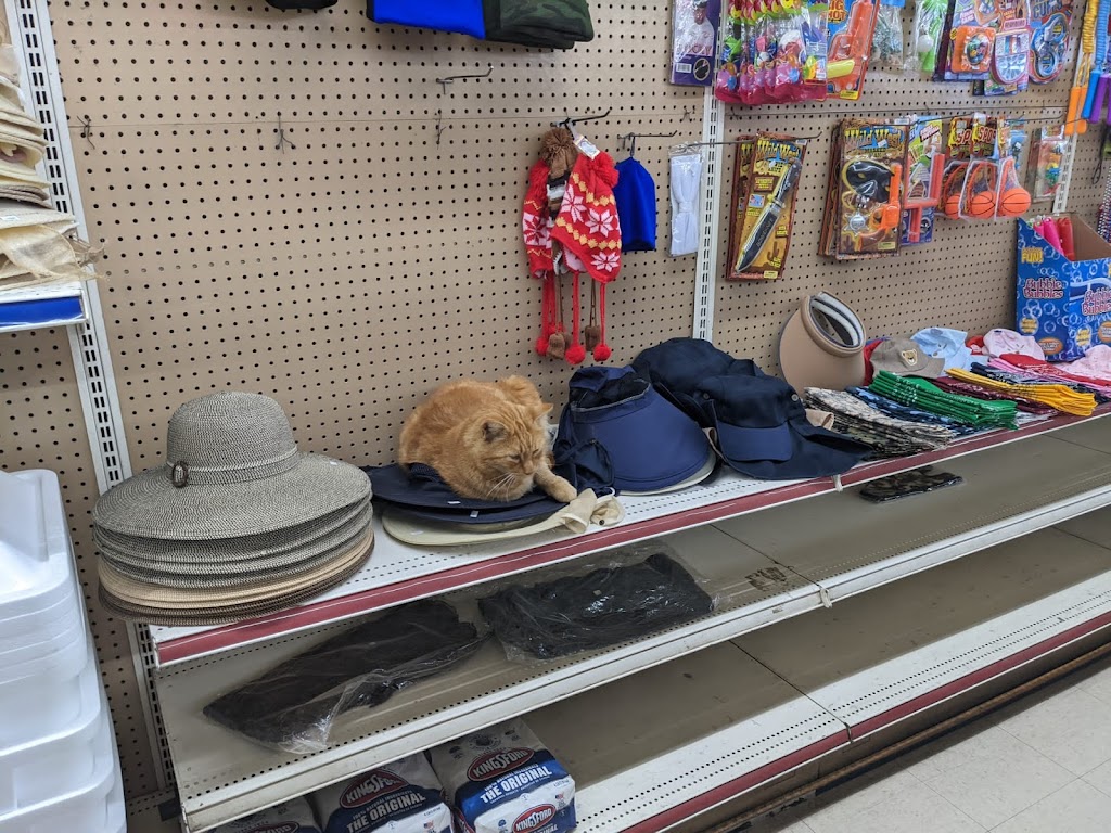 Escalon Mini-Mart | 1097 Yosemite Ave, Escalon, CA 95320, USA | Phone: (209) 838-1546