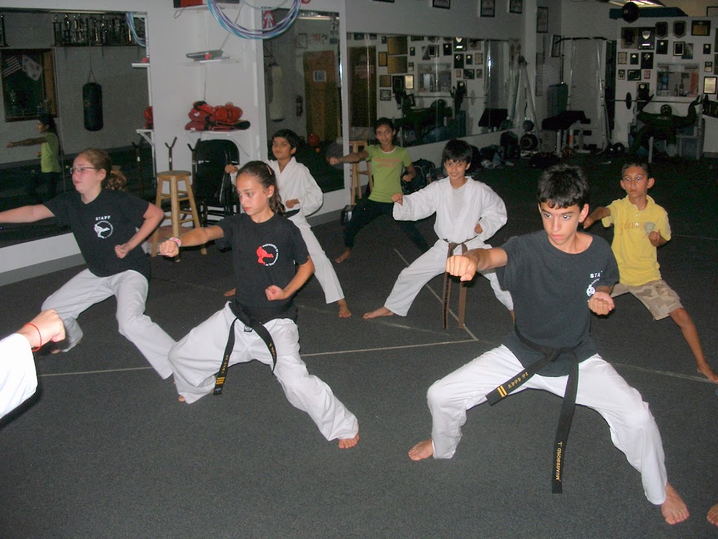 Tae Kwon Do of Morganville | 712 Ginesi Dr, Morganville, NJ 07751, USA | Phone: (732) 334-8199