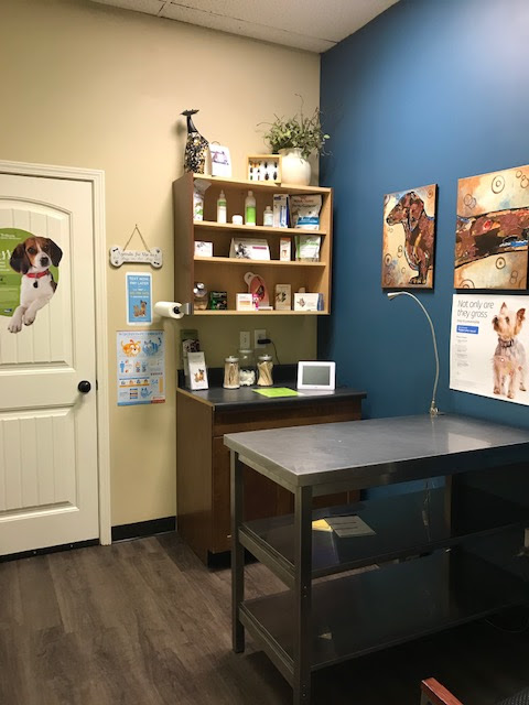 Community Animal Clinic | 105 Brownsville Rd #6, Powder Springs, GA 30127, USA | Phone: (678) 401-4588