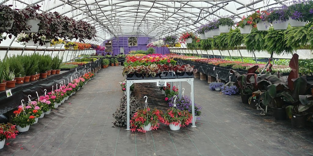 Marys Country Garden | 66745 Van Dyke, Washington, MI 48095, USA | Phone: (586) 995-7565