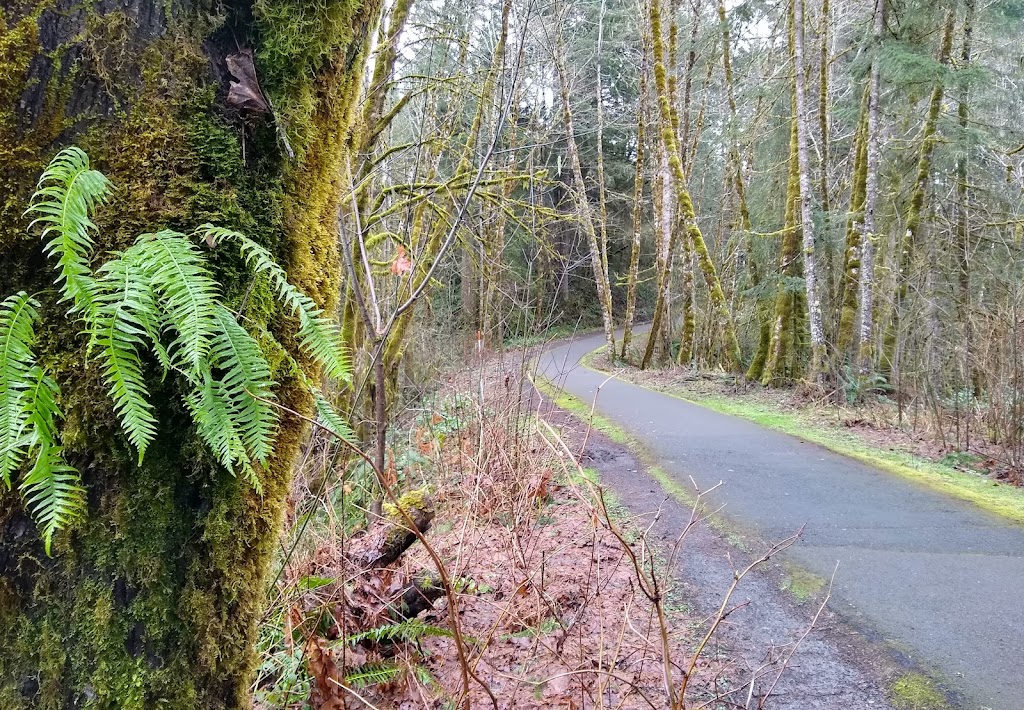 Banks-Vernonia State Trail | Banks-Vernonia State Trail, Vernonia, OR 97064, USA | Phone: (800) 551-6949