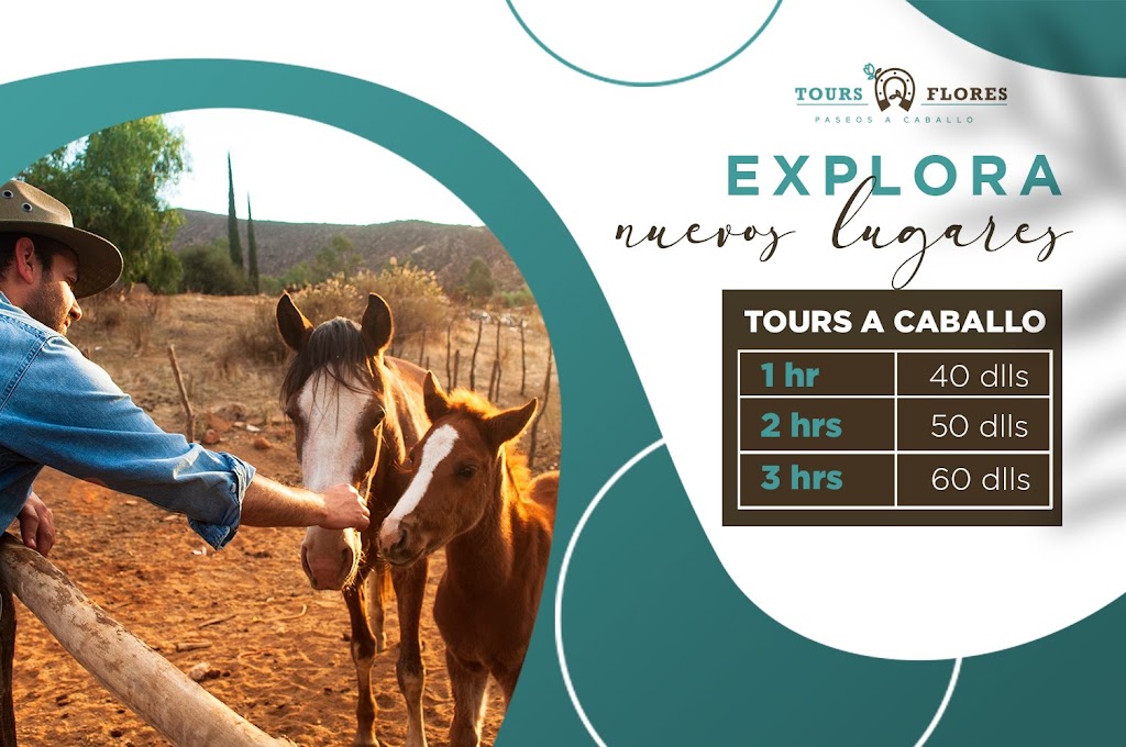 Tours Flores Horseback Riding | Native American Reservation San Antonio Necua, Ensenada 22760, 22756 B.C., Mexico | Phone: 646 109 7349