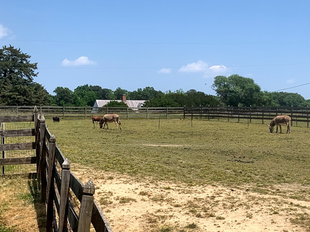 Chippokes Farm and Forestry Museum | 868 Plantation Rd, Surry, VA 23883, USA | Phone: (757) 294-3439