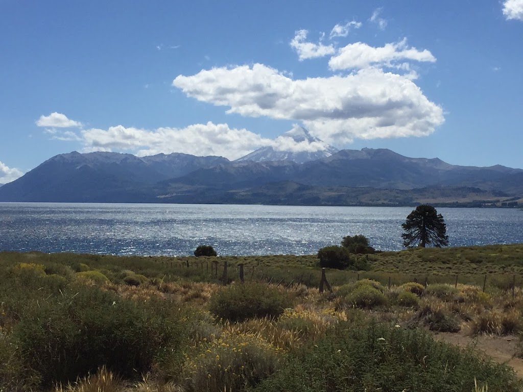 Dr. Luis Lombardi | 920 S Robertson Blvd, Los Angeles, CA 90035, USA | Phone: (310) 551-0690