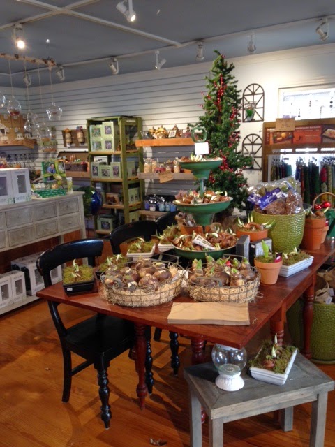 Wallitsch Garden Center | 2608 Hikes Ln, Louisville, KY 40218, USA | Phone: (502) 454-3553