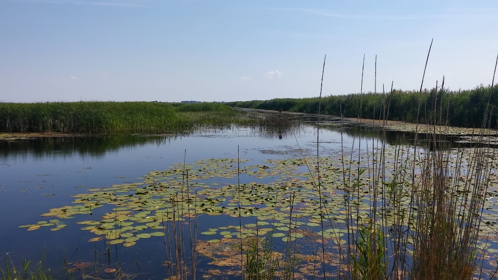 Saint Clair Flats State Wildlife Area | 3857 Columbine Rd, Harsens Island, MI 48028, USA | Phone: (810) 748-9504