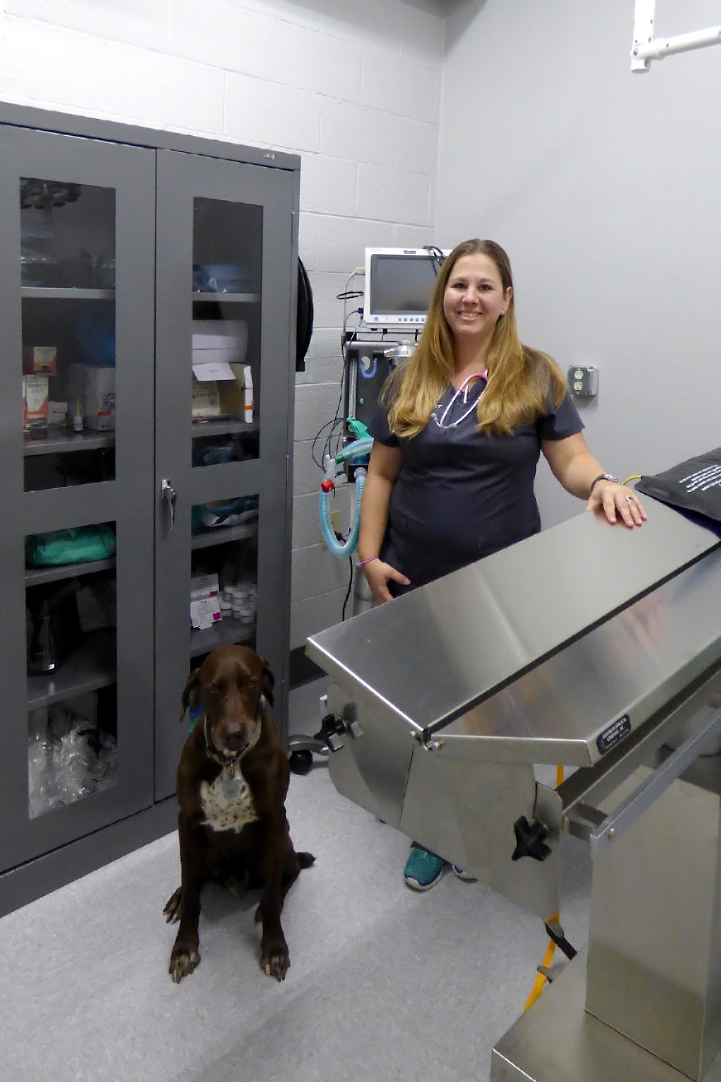 Valley Veterinary Clinic | 9255 Lemmon Dr, Reno, NV 89506, USA | Phone: (775) 683-9255