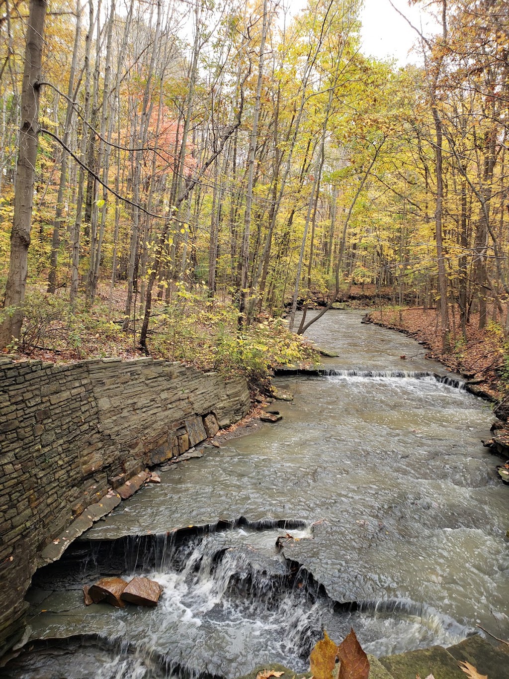 North Chagrin Reservation Parking | 41°3343.7"N 81°2602.1"W, Mayfield, OH 44143, USA | Phone: (440) 473-3370