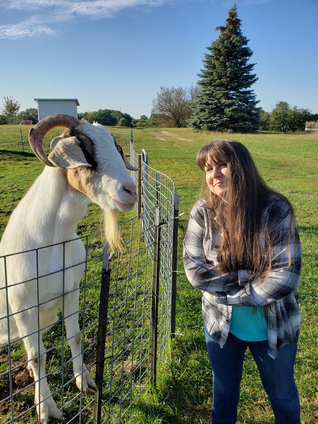 Kapnick Orchards | 4245 N, Rogers Hwy, Britton, MI 49229, USA | Phone: (517) 423-7419