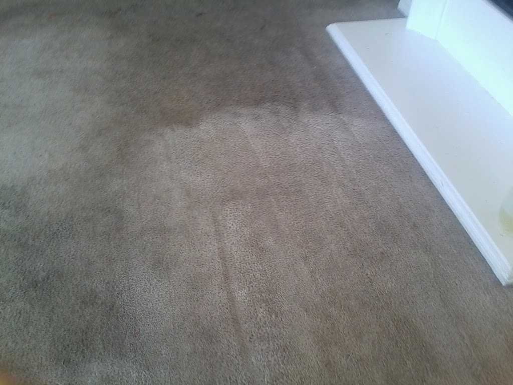 Doctor Steam Carpet & Upholstery Cleaning | 6430 Opal St, Alta Loma, CA 91701, USA | Phone: (909) 229-6337