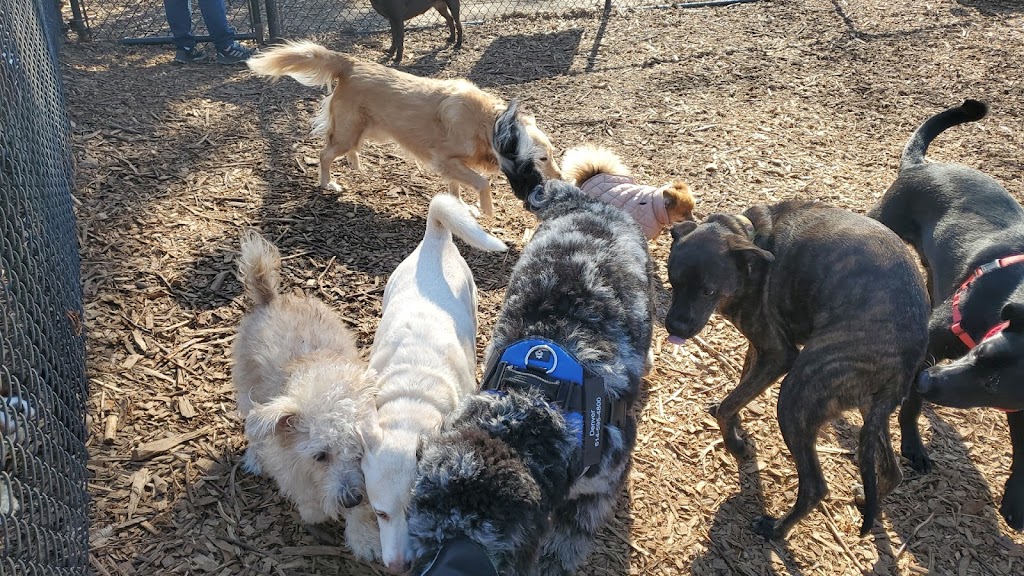 Rumbrook Park East Dog Park | 850 Dobbs Ferry Rd, White Plains, NY 10607, USA | Phone: (914) 693-8985