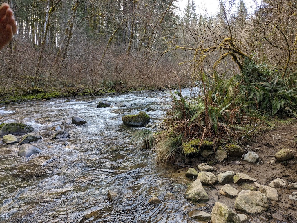 Rock Creek Campground | NE Dole Valley Rd, Yacolt, WA 98675, USA | Phone: (360) 577-2025