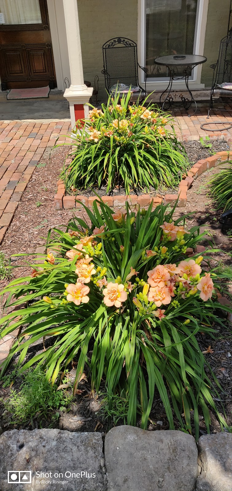 Indiana Land Title | 131 Elm St, Lawrenceburg, IN 47025, USA | Phone: (812) 537-4105 Indiana Land Title | 131 Elm St, Lawrenceburg, IN 47025, USA | Phone: (812) 537-4105