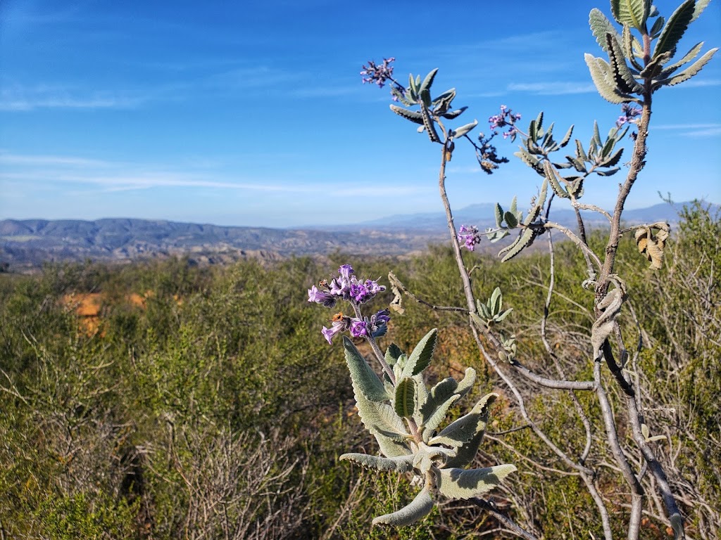 Dripping Springs Trailhead | Forest Rte 8S07 - Dripping Springs CG 38814, CA-79, Temecula, CA 92592, USA | Phone: (760) 788-6130