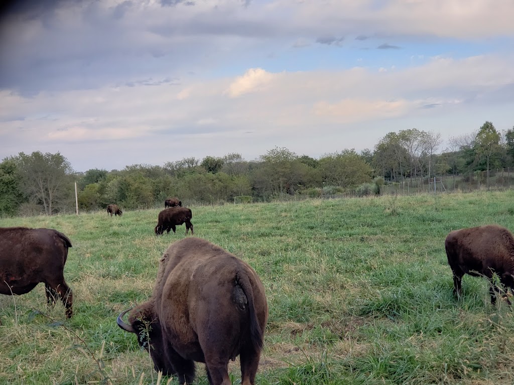 Native Hoofed Animal Enclosure | Lees Summit, MO 64064, USA | Phone: (816) 503-4800