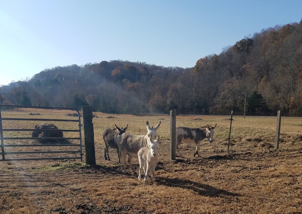 Jackson Farm Sweet Tea Cottage | 3758 Robinson Rd, Thompsons Station, TN 37179, USA | Phone: (615) 604-9791