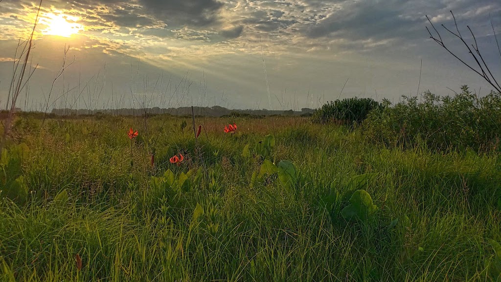 Snapper Prairie State Natural Area | W7480 Prairie Ln, Lake Mills, WI 53551, USA | Phone: (608) 255-2473