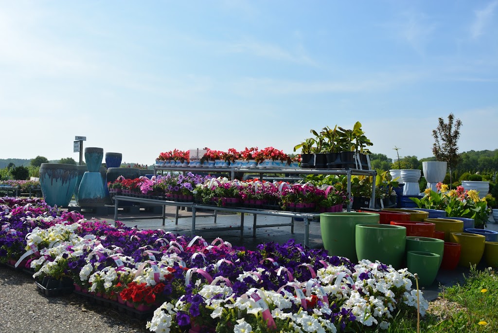 McKay Garden Center - Oregon | 5655 Lincoln Rd, Oregon, WI 53575, USA | Phone: (608) 835-6556