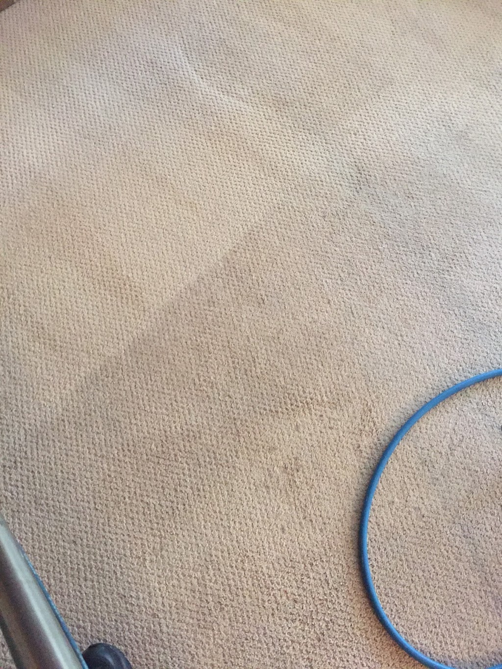 Piasecki Carpet and Upholstery Cleaning | Carter Rd, Carleton, MI 48117, USA | Phone: (313) 220-5538