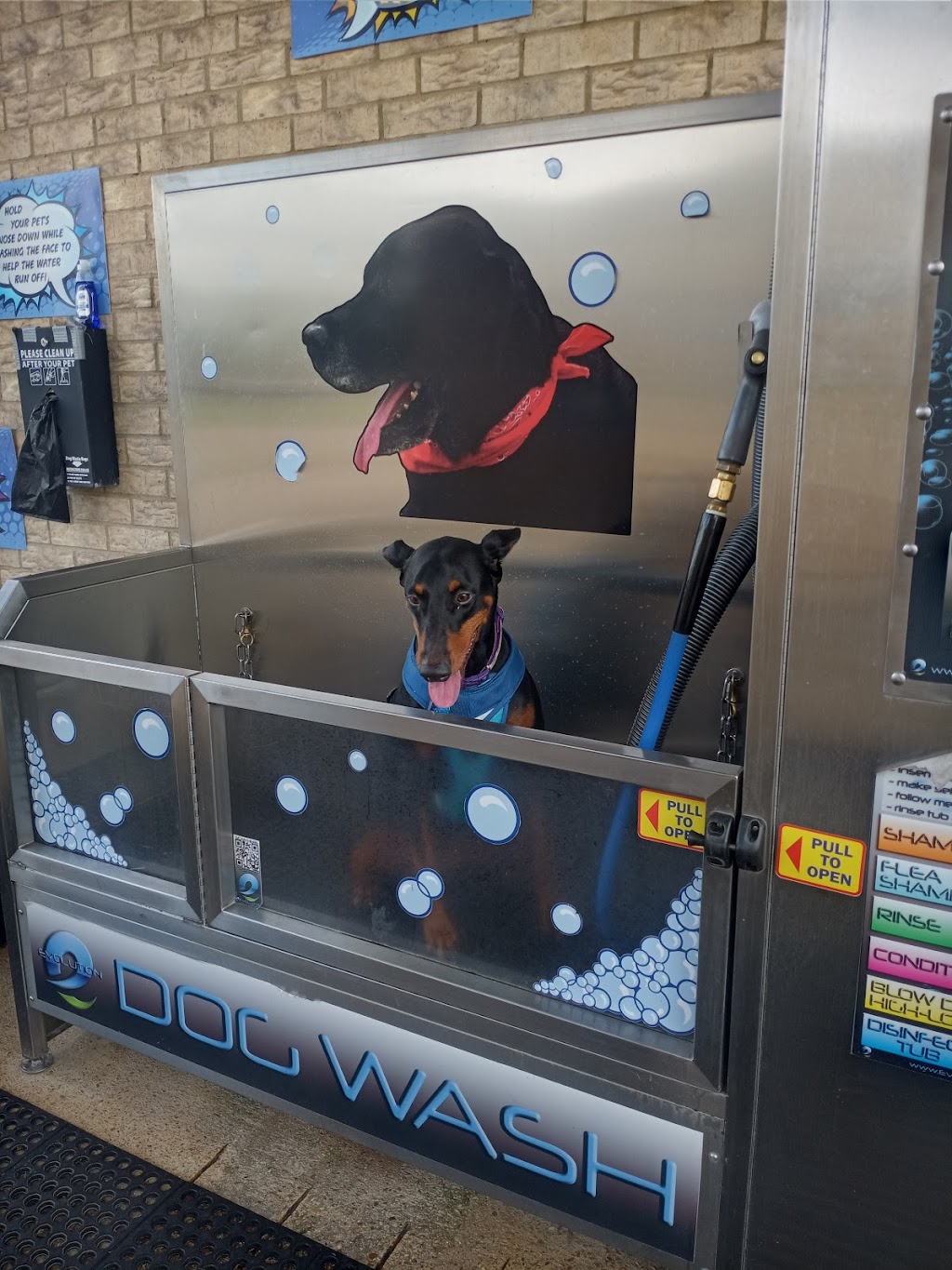 Dollys Dog Wash | Alvin, TX 77511, USA | Phone: (224) 515-0508