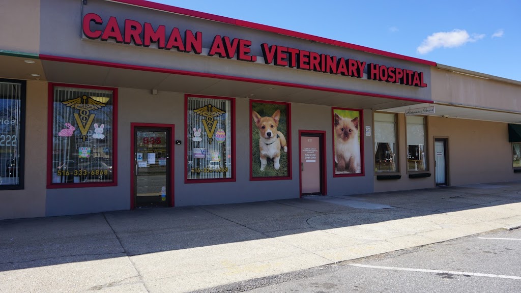 Carman Avenue Veterinary Hospital | 837 Carman Ave, Westbury, NY 11590, USA | Phone: (516) 333-6868