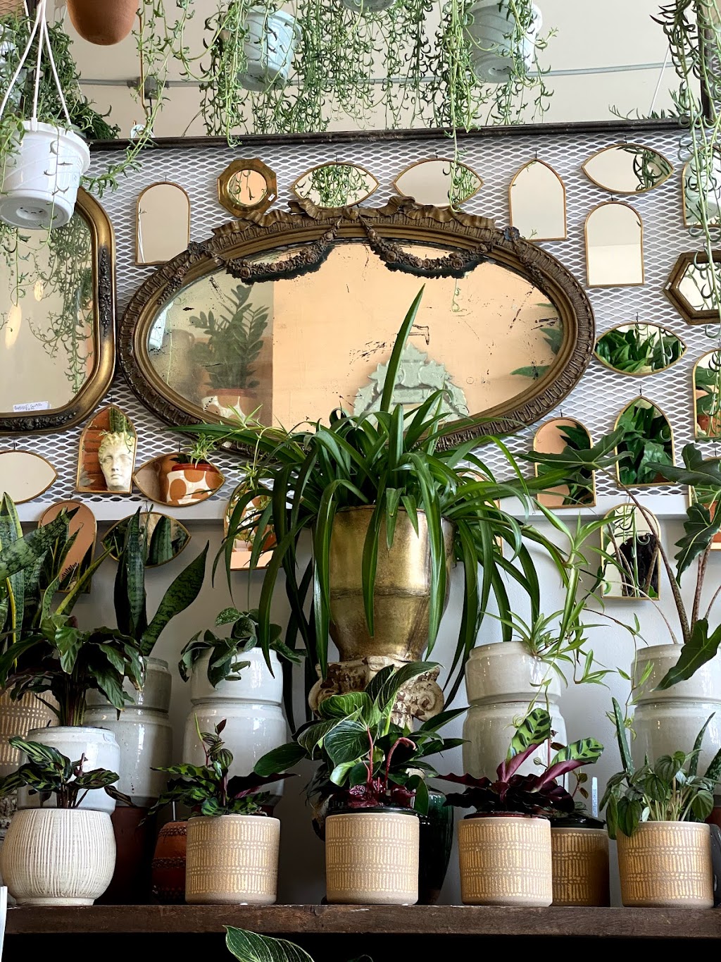 FENG SWAY | 41 Norman Ave, Brooklyn, NY 11222, USA | Phone: (917) 480-0636