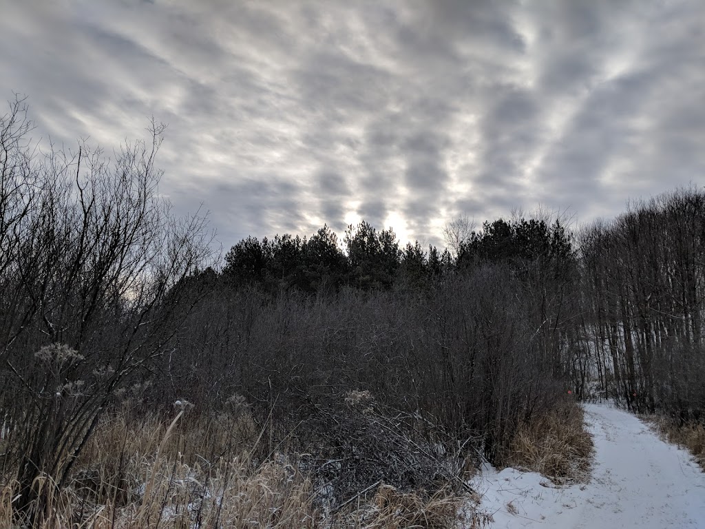 Kewaskum Maple-Oak Woods State Natural Area | S Mill Rd, Kewaskum, WI 53040, USA | Phone: (608) 266-0394