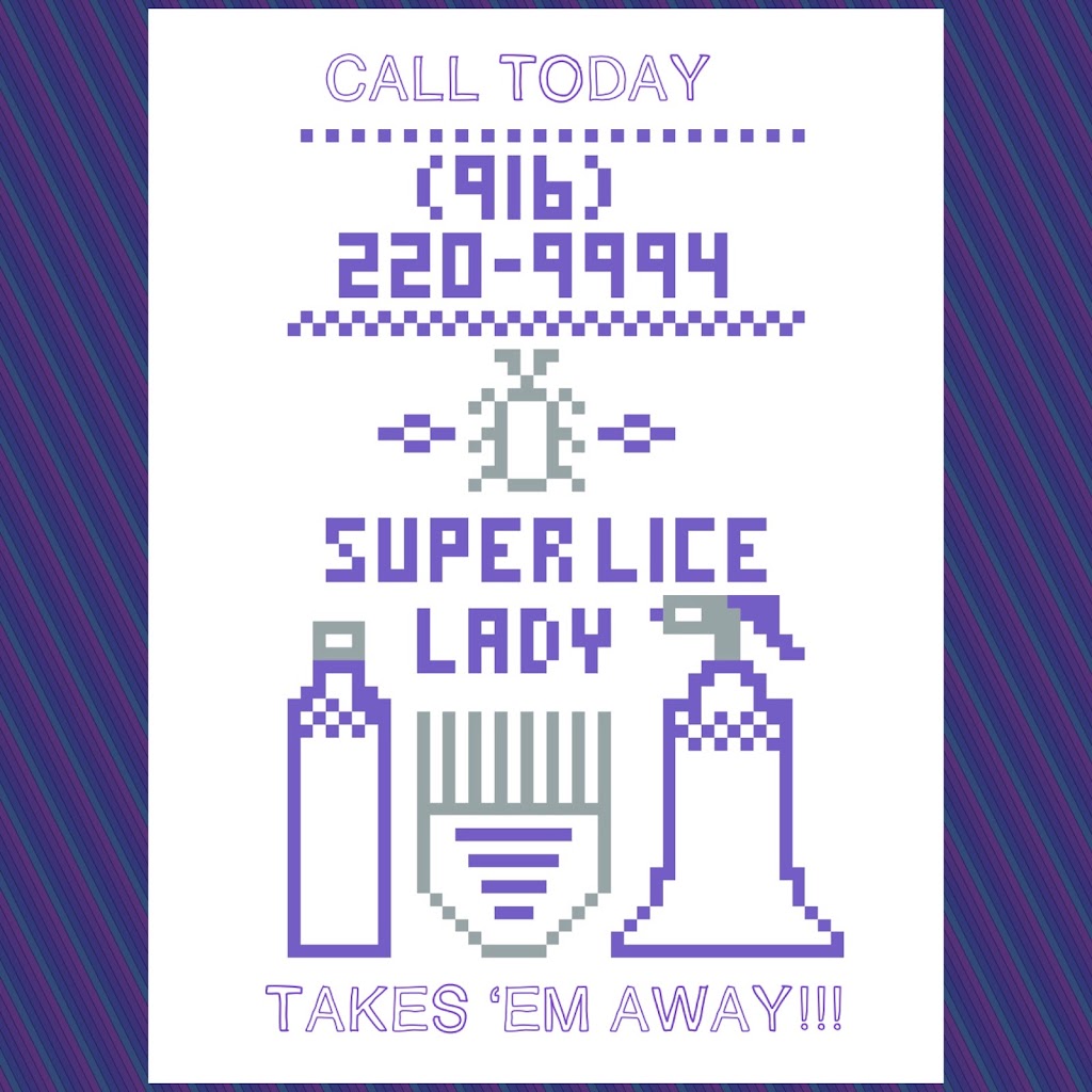 Sacramento Lice Removal Service | Super Lice Lady | 6913 Ellsworth Cir, Fair Oaks, CA 95628 | Phone: (916) 220-9994