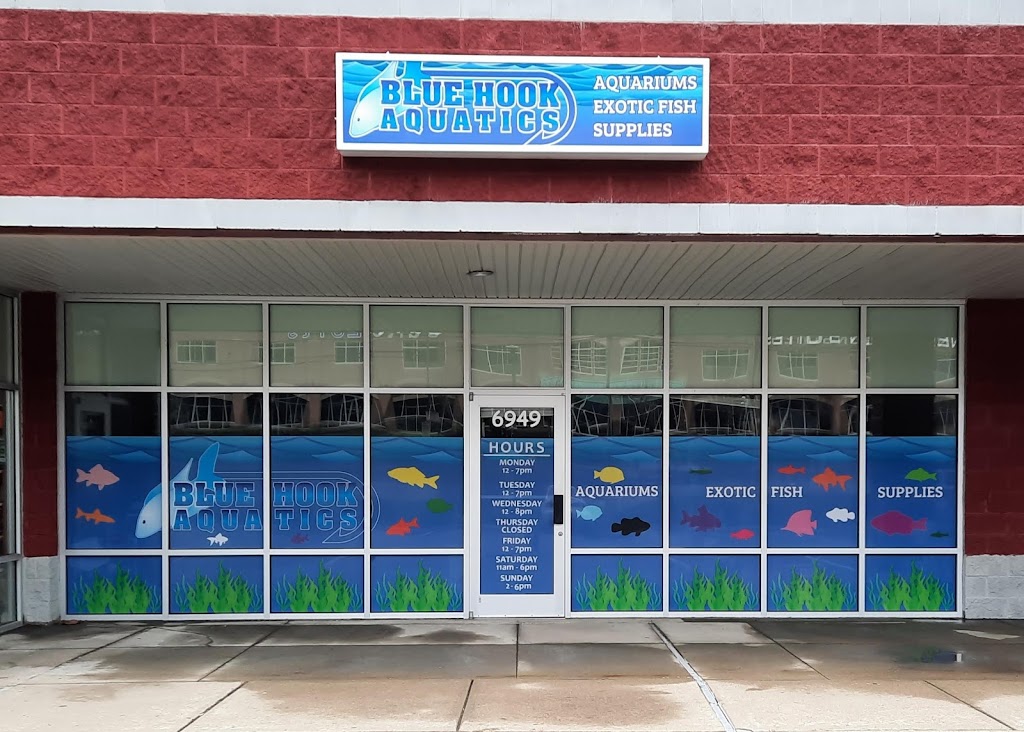 Blue Hook Aquatics (formerly Top Shelf) | 6949 Harrison Ave, Cincinnati, OH 45247, USA | Phone: (513) 443-4741