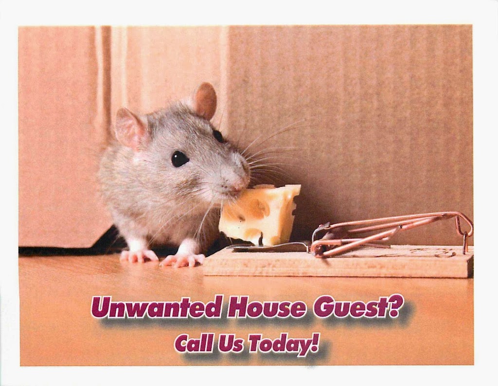 Chagrin Valley Pest Control | 5555 Janet Blvd, Solon, OH 44139, USA | Phone: (216) 348-3379