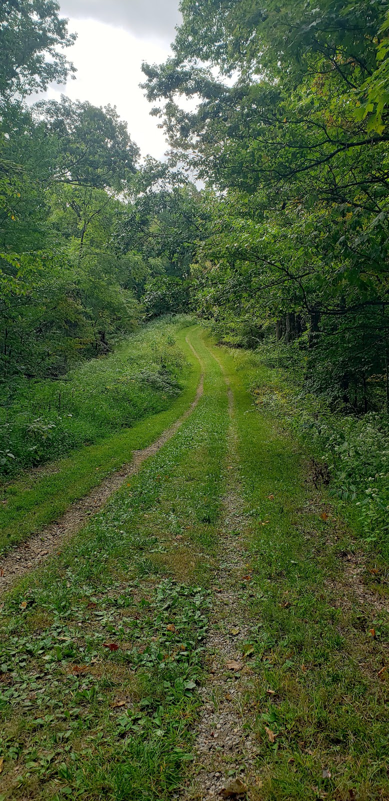 Cemetery Ridge Trail | Creekside Meadows Trail, Rockbridge, OH 43149, USA | Phone: (740) 969-8210