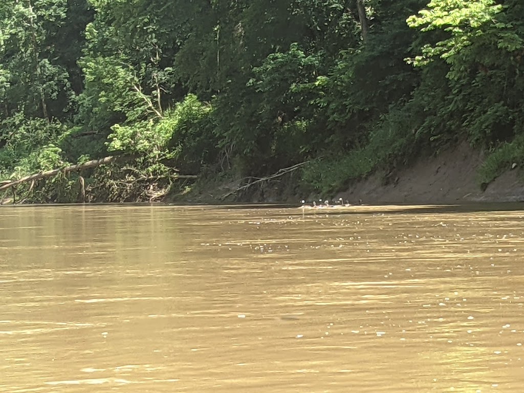 Old Mill Canoe Rental - Blue River (OMCR) | 5 US-150, Fredericksburg, IN 47120, USA | Phone: (812) 472-3140