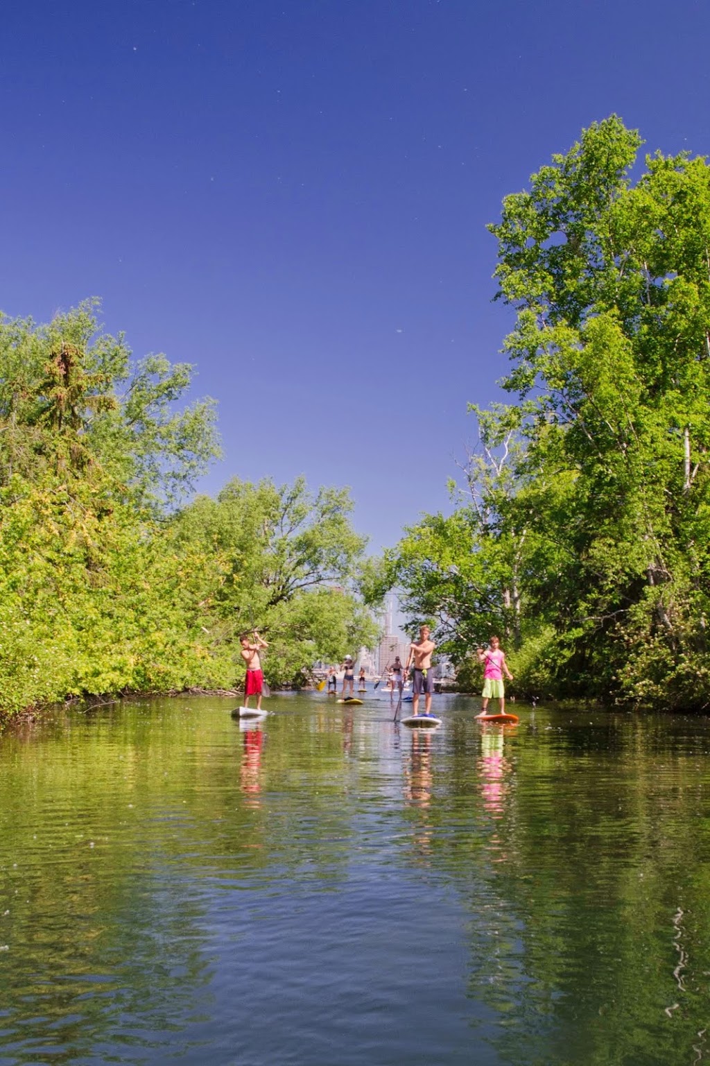 Toronto Island SUP | 13 Algonquin Bridge Rd, Toronto, ON M5J 2C8, Canada | Phone: (416) 899-1668