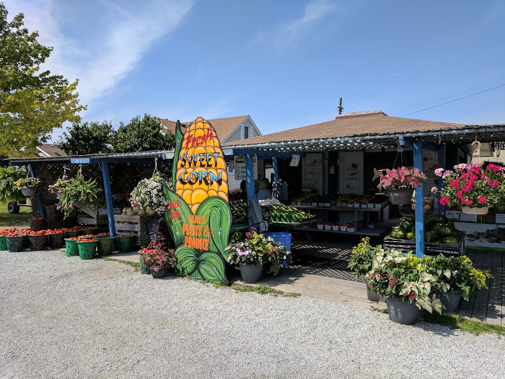 Carls Plants & Produce | 373 Seacliff Dr W, Leamington, ON N8H 4C9, Canada | Phone: (519) 326-2817