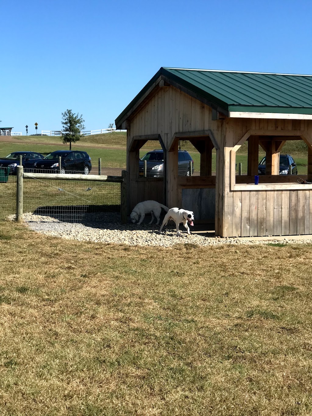 K-9 Korral Dog Park | 239 Franklin Rd, Franklin, TN 37064 | Phone: (615) 794-2103