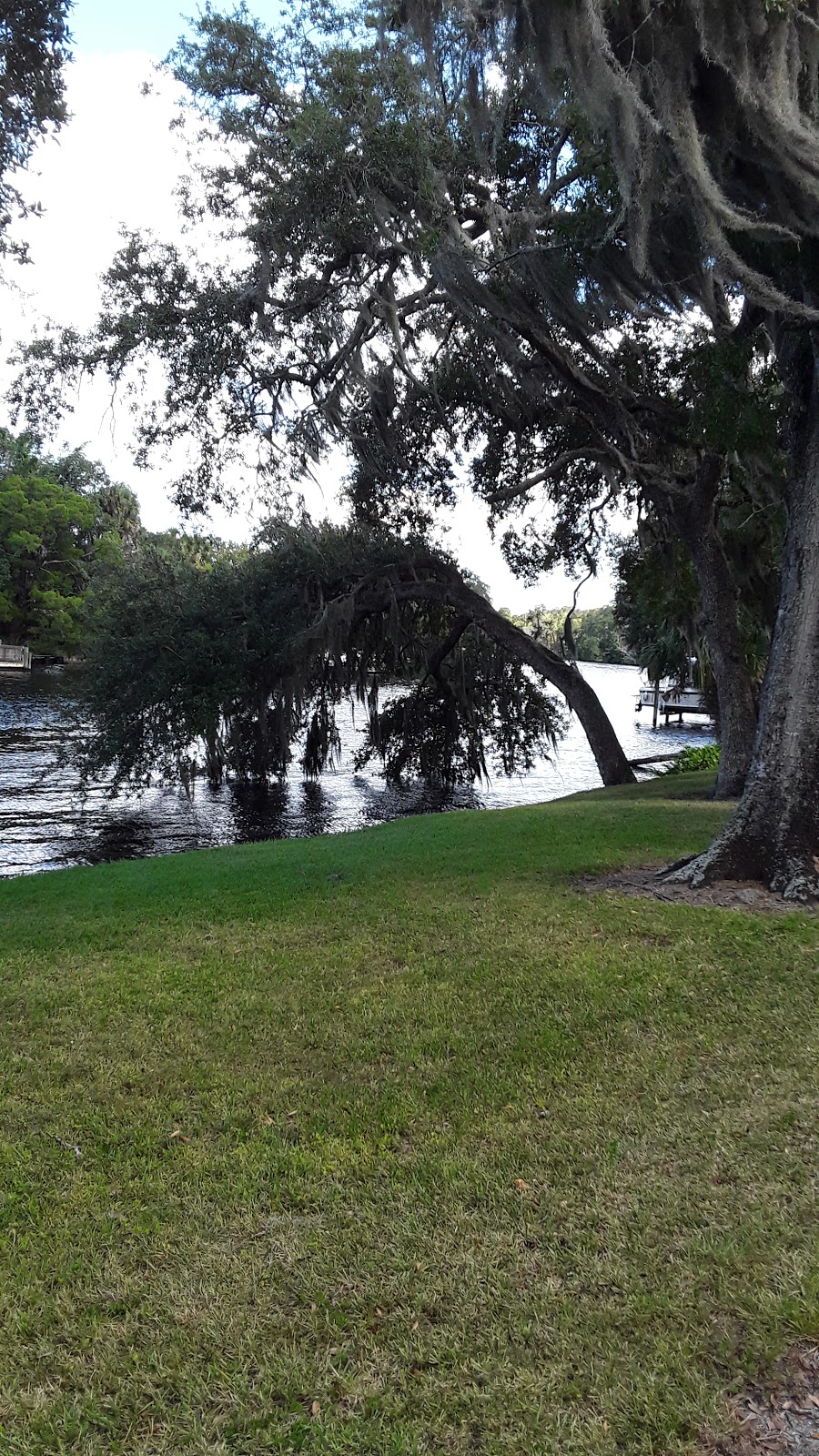 Rivershore Drive Linear Park | N River Shore Dr, Tampa, FL 33602, USA | Phone: (813) 274-7725